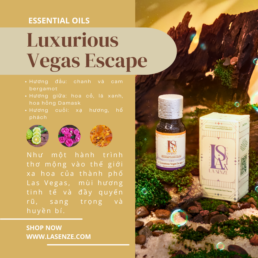  Tinh Dầu Thơm Luxurious Home & Spas - 5 Stars Hotels & Resorts Collection 