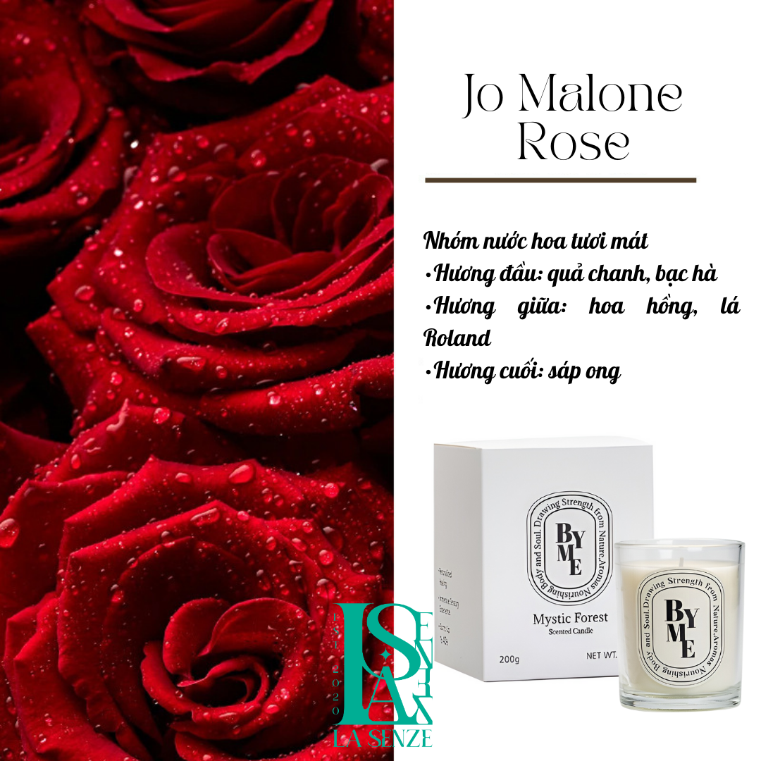  Set Nến Thơm Quà Tặng White Bliss Candle - GENTLE SET 