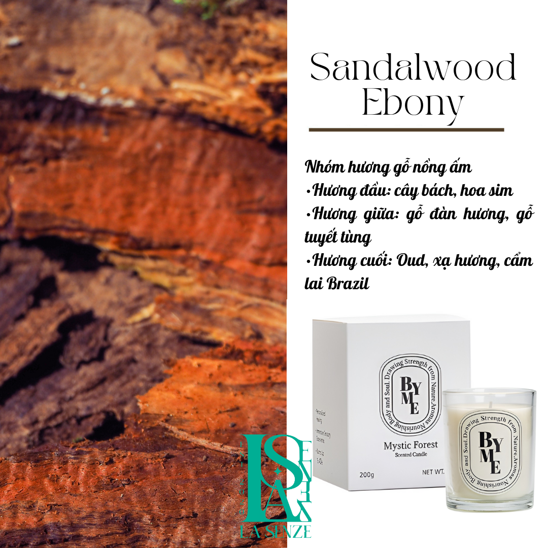  SIMPLE SET - Nến Thơm Quà Tặng PURE SCENT 