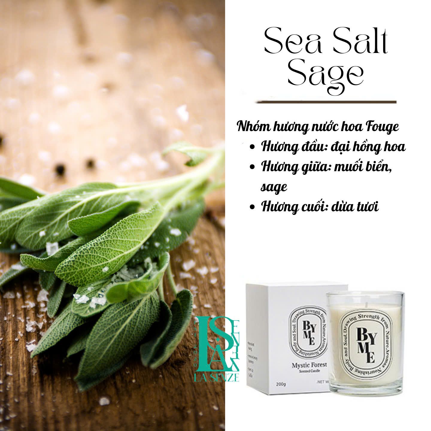  SIMPLE SET - Nến Thơm Quà Tặng PURE SCENT 