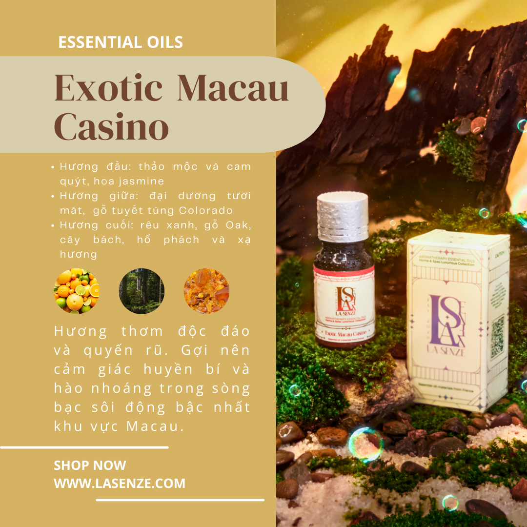  Tinh Dầu Thơm Luxurious Home & Spas - 5 Stars Hotels & Resorts Collection 