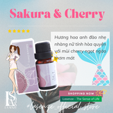  Tinh Dầu Phối Hương Sakura & Cherry 10ml 