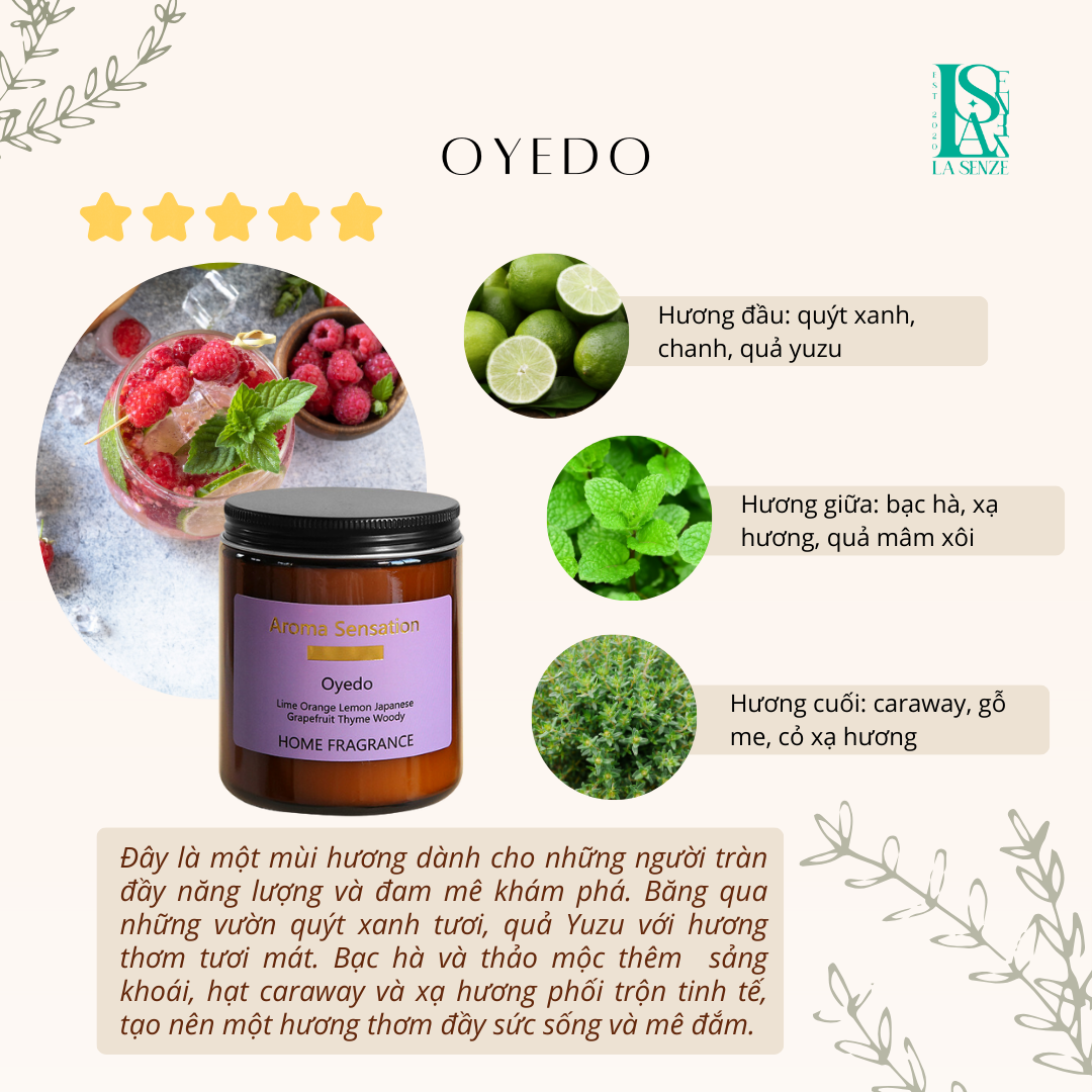  Nến thơm tinh dầu tự nhiên AROMA SENSATION 