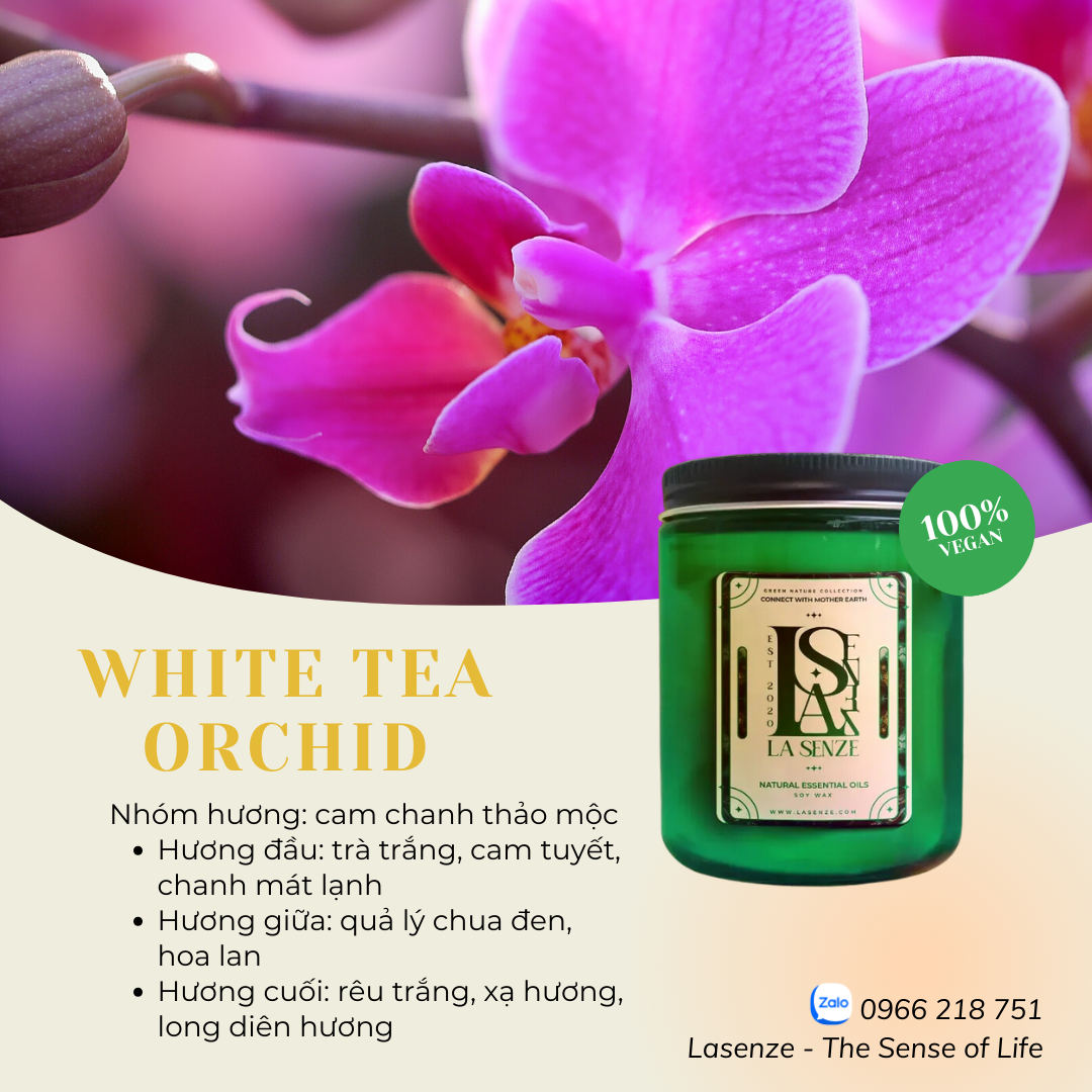  Nến Thơm Tinh Dầu Green Nature Collection - Connect With Mother Earth 