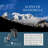  Máy Phun Tinh Dầu Ô Tô Xe Hơi Thông Minh Intelligent Car Aroma - Start & Stop Engine 