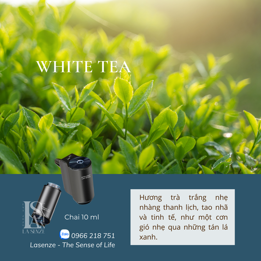  Máy Phun Tinh Dầu Ô Tô Xe Hơi Thông Minh Intelligent Car Aroma - Start & Stop Engine 