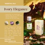  Tinh Dầu Thơm Luxurious Home & Spas - 5 Stars Hotels & Resorts Collection 