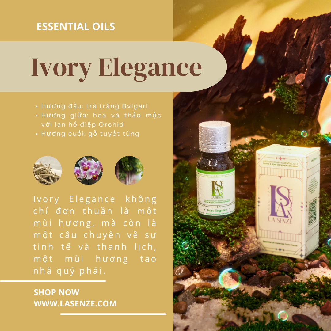  Tinh Dầu Thơm Luxurious Home & Spas - 5 Stars Hotels & Resorts Collection 