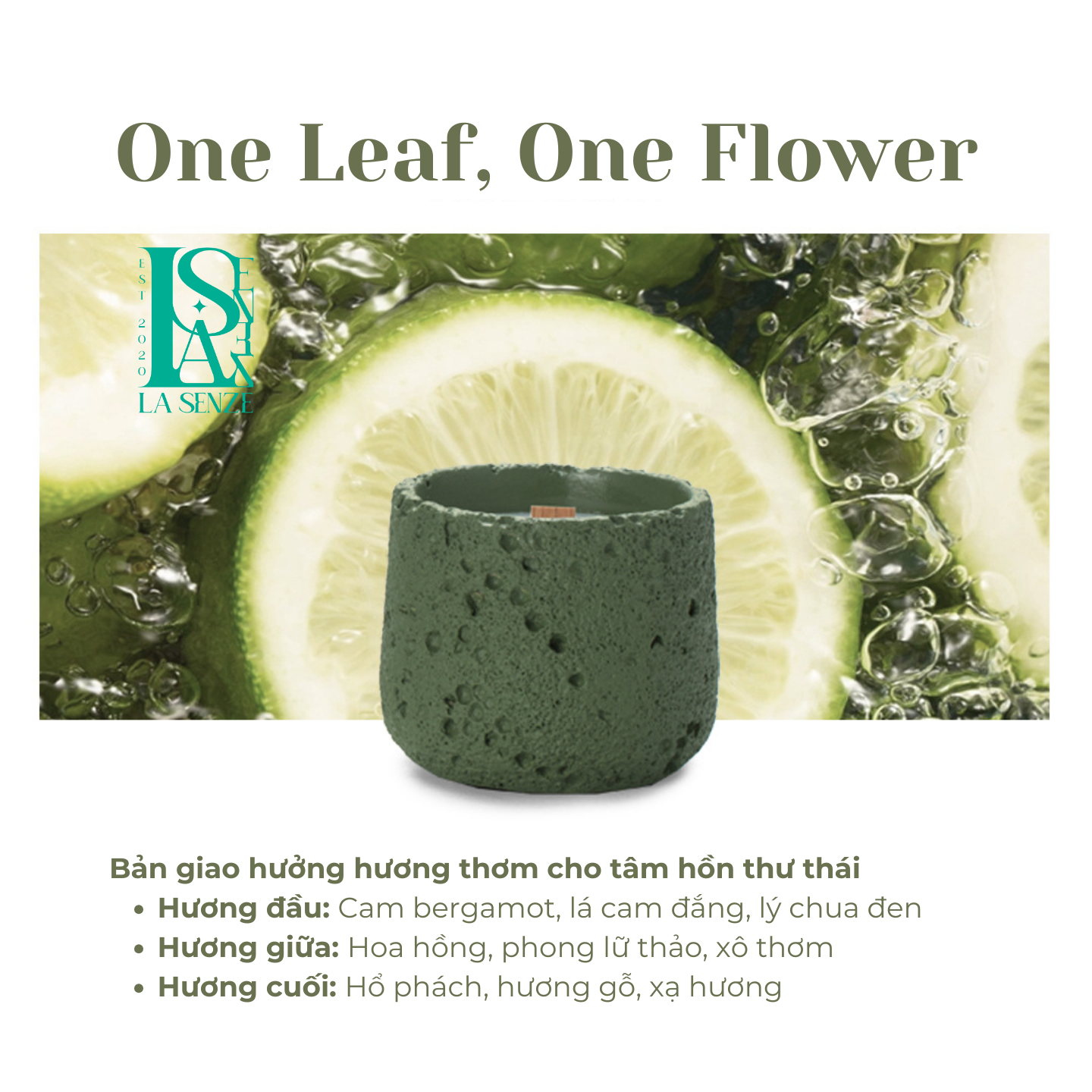  Nến Thơm Nghệ Thuật Moonlit Stone Collection 