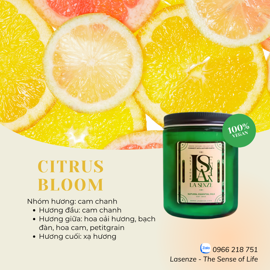  Nến Thơm Tinh Dầu Green Nature Collection - Connect With Mother Earth 