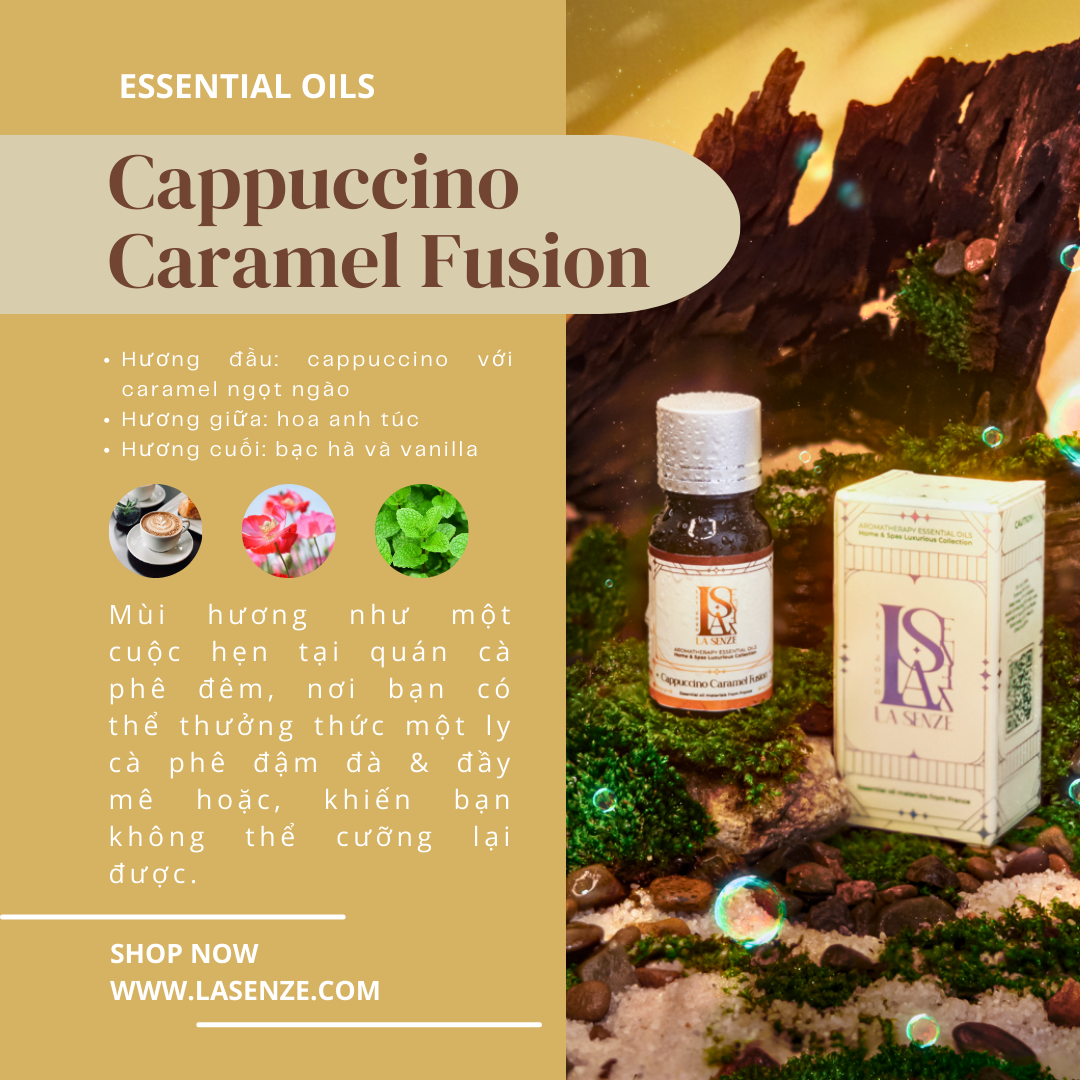  Tinh Dầu Thơm Luxurious Home & Spas - 5 Stars Hotels & Resorts Collection 