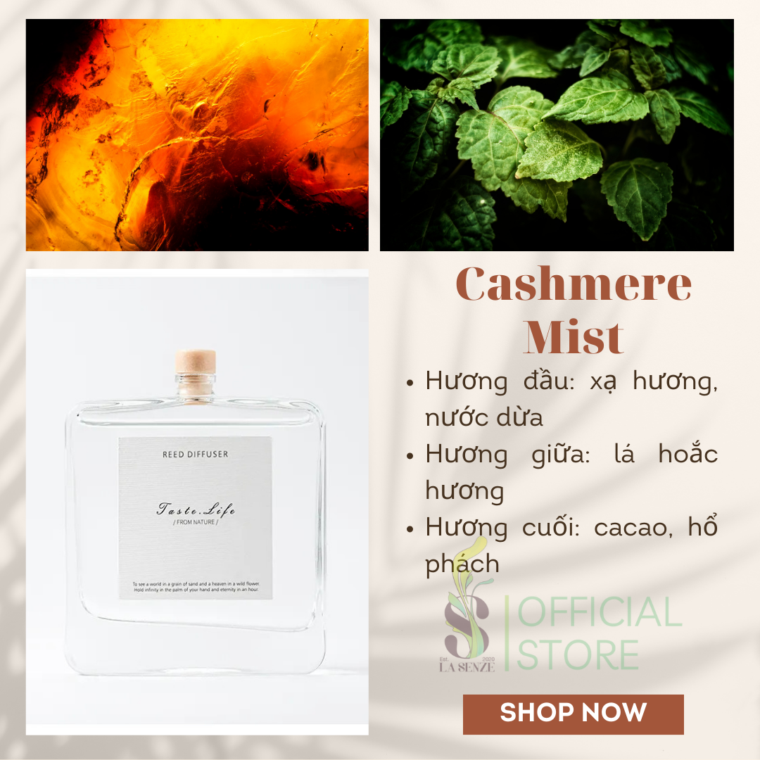  Tinh Dầu Thơm Phòng Khuếch Tán Cao Cấp Taste Life 120ml 