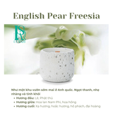  Nến Thơm Nghệ Thuật Moonlit Stone - ENGLISH PEAR & FREESIA 