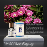  Nước Hoa Ô Tô Cao Cấp La Senze Premium Car Perfume 