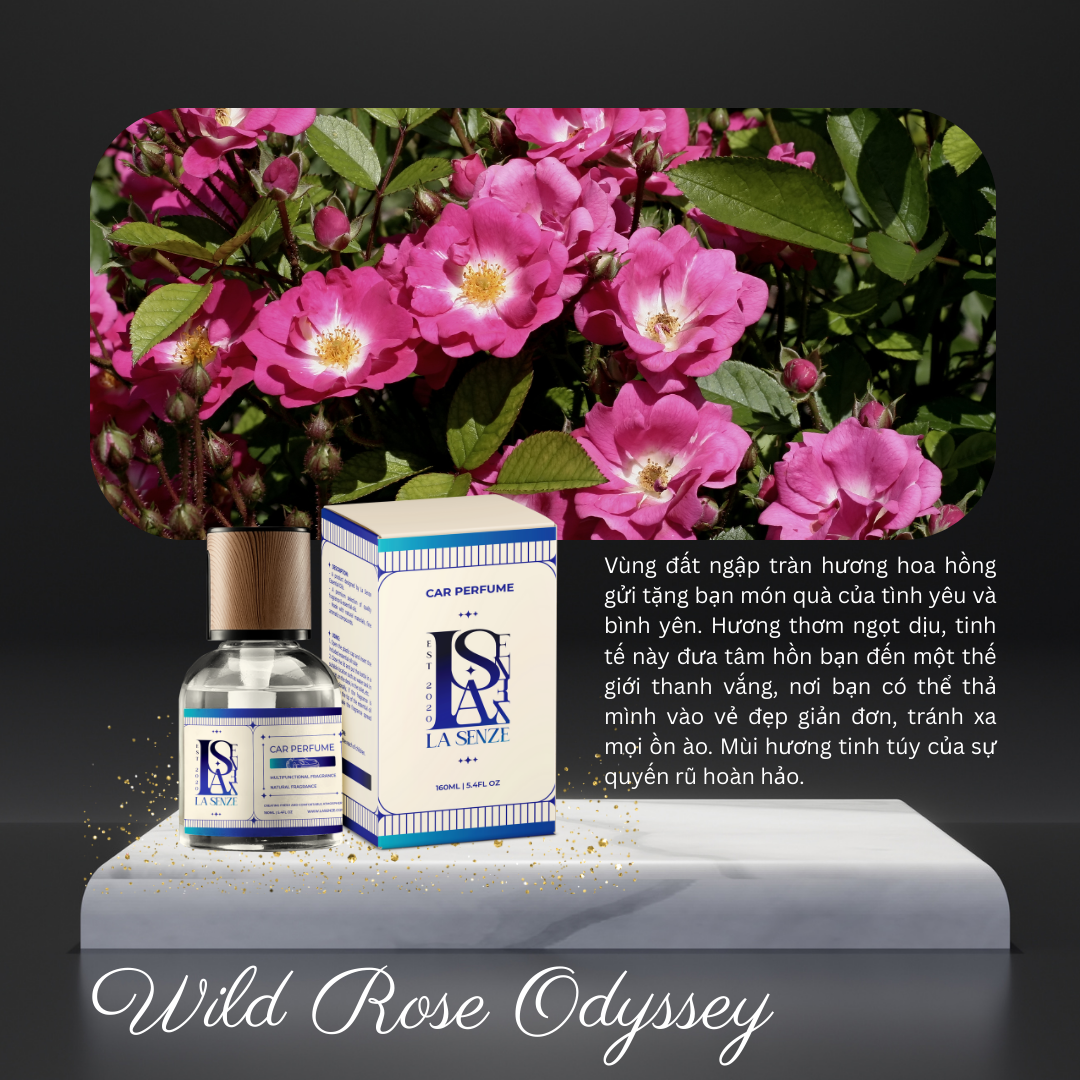 Nước hoa LA SENZE AROMATIC SOLUTIONS