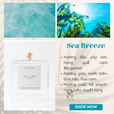  Tinh Dầu Thơm Phòng Khuếch Tán Cao Cấp Taste Life 120ml 