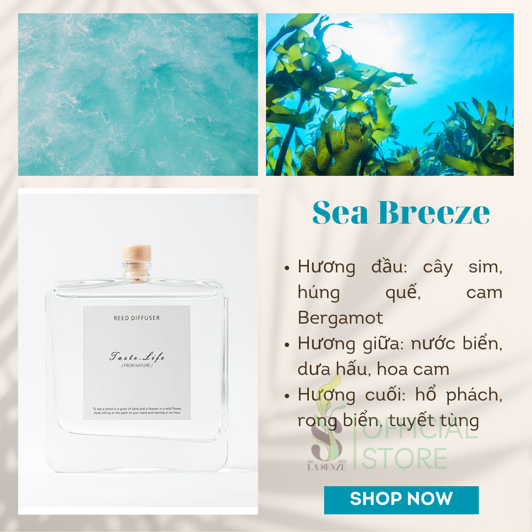  Tinh Dầu Thơm Phòng Khuếch Tán Cao Cấp Taste Life 120ml 