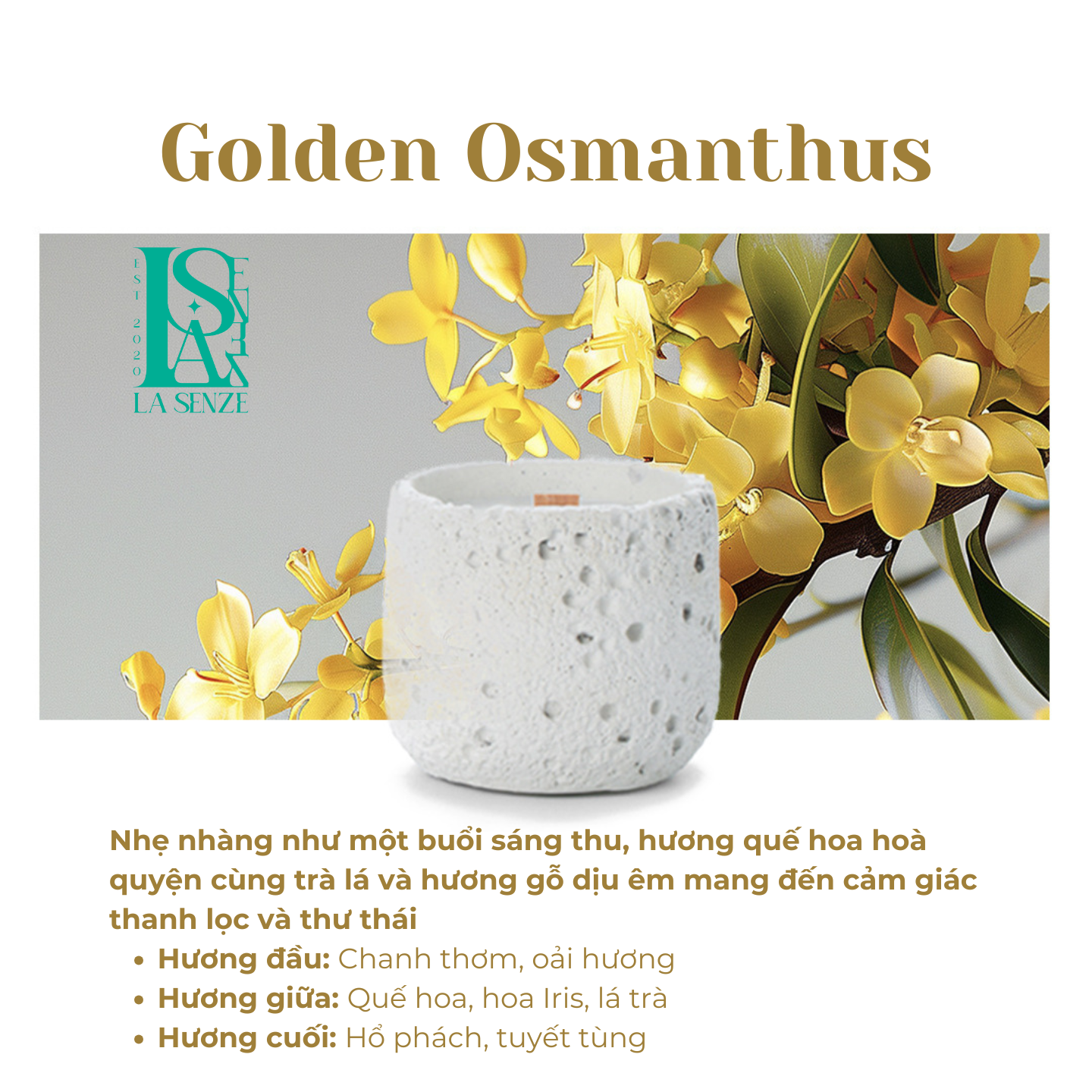  Nến Thơm Nghệ Thuật Moonlit Stone - GOLDEN OSMANTHUS 