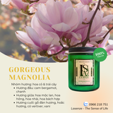  Nến Thơm Tinh Dầu Green Nature Collection - Connect With Mother Earth 