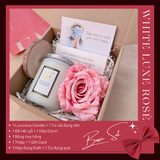  BASIC SERIES - Set Nến Thơm Quà Tặng LA SENZE 