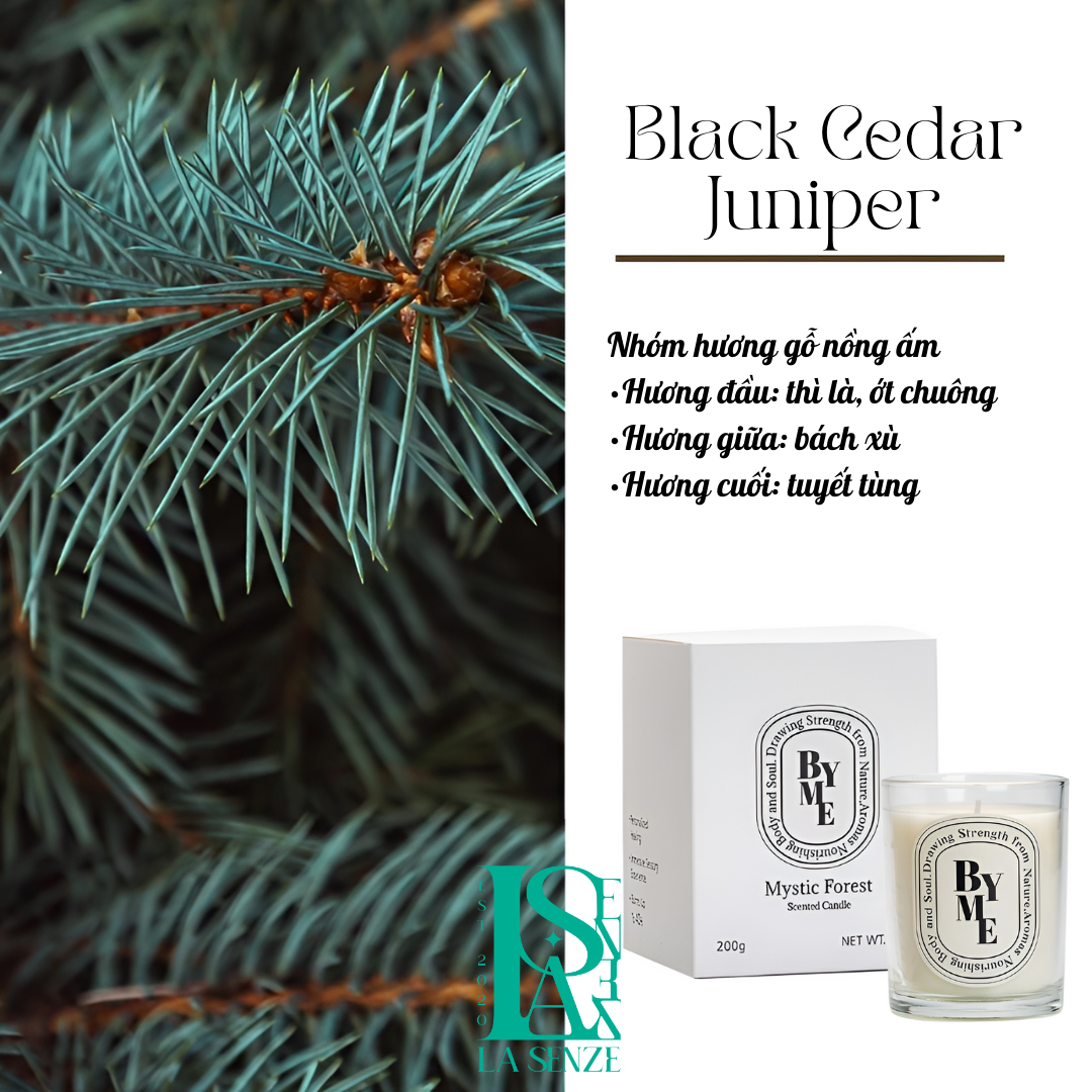  Set quà tặng LUMINOUS WHITE BLISS 