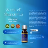  Tinh Dầu Khách Sạn 5 Sao Cho Máy Công Nghiệp 30ML - LA SENZE Premium Waterless Essential Oils 