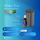  Máy Khuếch Tán Tinh Dầu Ô Tô Xe Hơi Chuyên Nghiệp CAR+ OFFICE+ HOME Không Dùng Nước 