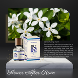  Nước Hoa Ô Tô Cao Cấp La Senze Premium Car Perfume 