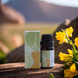  Tinh Dầu Phối Hương Freesia Cologne 10ml 