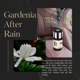  Nước Hoa Ô Tô Cao Cấp LA SENZE - Elegant Automatic 