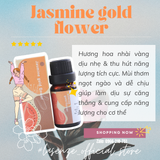  Tinh Dầu Phối Hương Mix Blend 10ml 