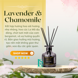  TINH DẦU NƯỚC HOA THƠM PHÒNG CAO CẤP HOME FRAGRANCE - Elegant black series 