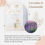  Tinh Dầu Thơm Phòng Nước Hoa Luxury Aroma Home Decor (Eco-Friendly) 
