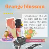  Tinh Dầu Phối Hương Mix Blend 10ml 