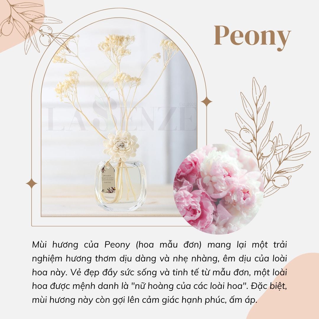  Set Quà Tặng Tinh Dầu Thơm Phòng Cao Cấp Luxury Perfume Aroma 