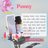  Tinh Dầu Phối Hương Mix Blend 10ml 