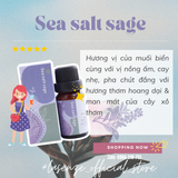  Tinh Dầu Phối Hương Mix Blend 10ml 
