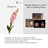  Set Nến Thơm & Tinh Dầu Thơm Phòng Khuếch Tán Hũ Pha Lê Vân Nổi LUXURIOUS COLLECTION 