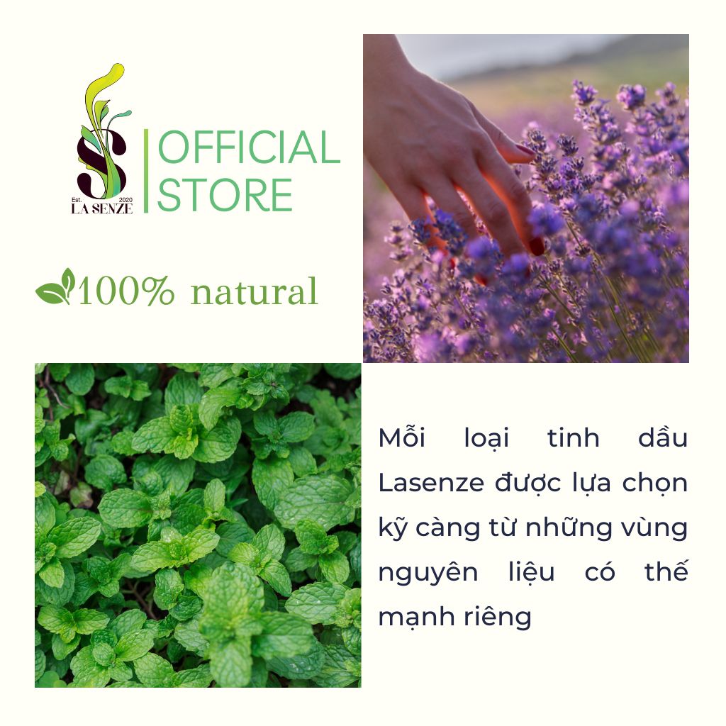 Tinh Dầu Quýt Mandarin 100% Thiên Nhiên (Hàng Thật Không Pha) 
