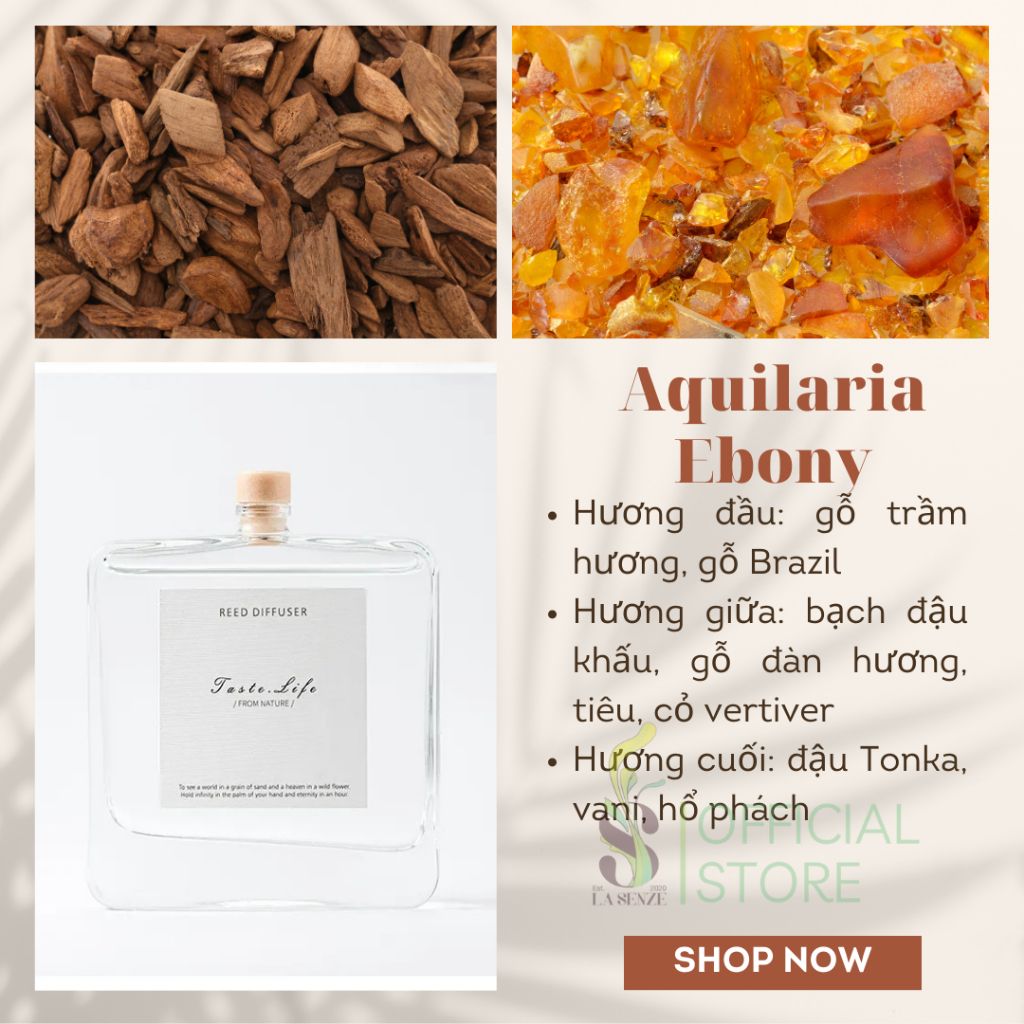  Tinh Dầu Thơm Phòng Khuếch Tán Cao Cấp Taste Life 120ml 