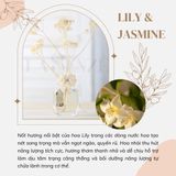  Set Quà Tặng Tinh Dầu Thơm Phòng Cao Cấp Luxury Perfume Aroma 