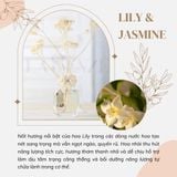  Tinh Dầu Thơm Phòng Nước Hoa Luxury Aroma Home Decor (Eco-Friendly) 