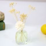  Tinh Dầu Thơm Phòng Nước Hoa Luxury Aroma Home Decor (Eco-Friendly) 