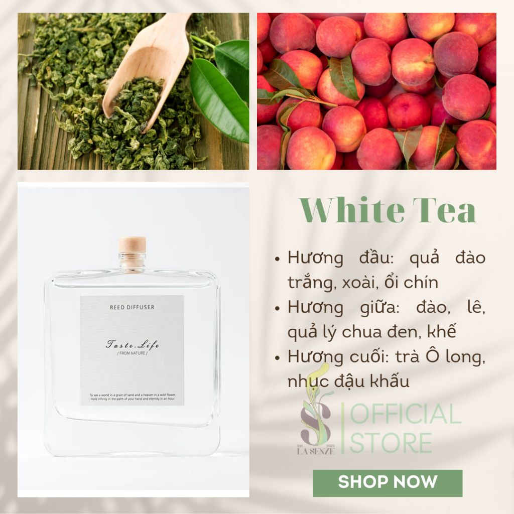  Tinh Dầu Thơm Phòng Khuếch Tán Cao Cấp Taste Life 120ml 