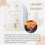  Tinh Dầu Thơm Phòng Nước Hoa Luxury Aroma Home Decor (Eco-Friendly) 