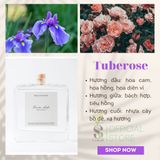  Tinh Dầu Thơm Phòng Khuếch Tán Cao Cấp Taste Life 120ml 