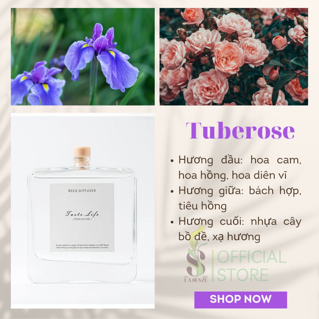  Tinh Dầu Thơm Phòng Khuếch Tán Cao Cấp Taste Life 120ml 