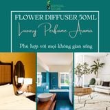  Tinh Dầu Thơm Phòng Nước Hoa Luxury Aroma Home Decor (Eco-Friendly) 