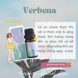  Tinh Dầu Phối Hương Mix Blend 10ml 