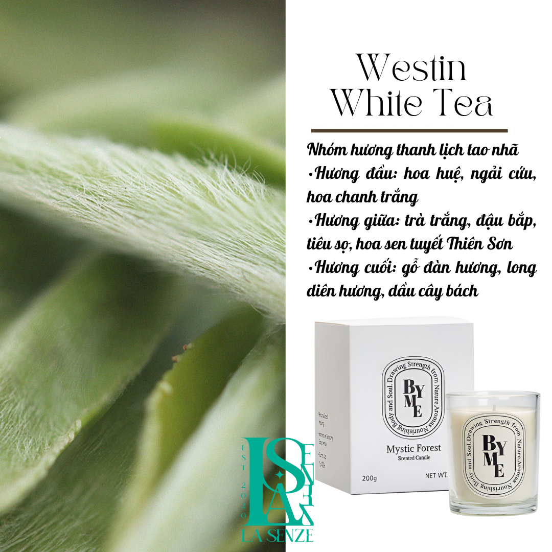  Set quà tặng LUMINOUS WHITE BLISS 